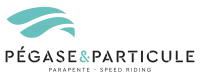 logo parapente pegase et particule