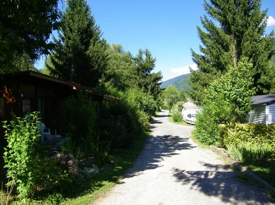 big_449_20180222145933