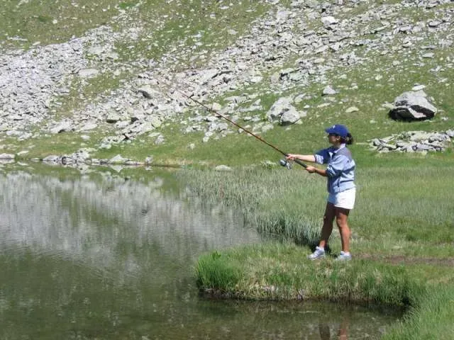 animation-exterieur-camping-clair-de-lune-5