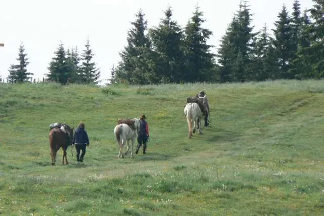 animation-exterieur-camping-clair-de-lune-6