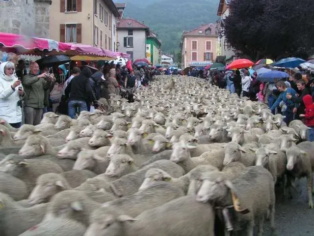 animation-exterieur-camping-clair-de-lune-11