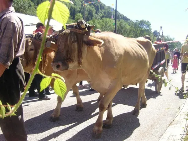 animation-exterieur-camping-clair-de-lune-14