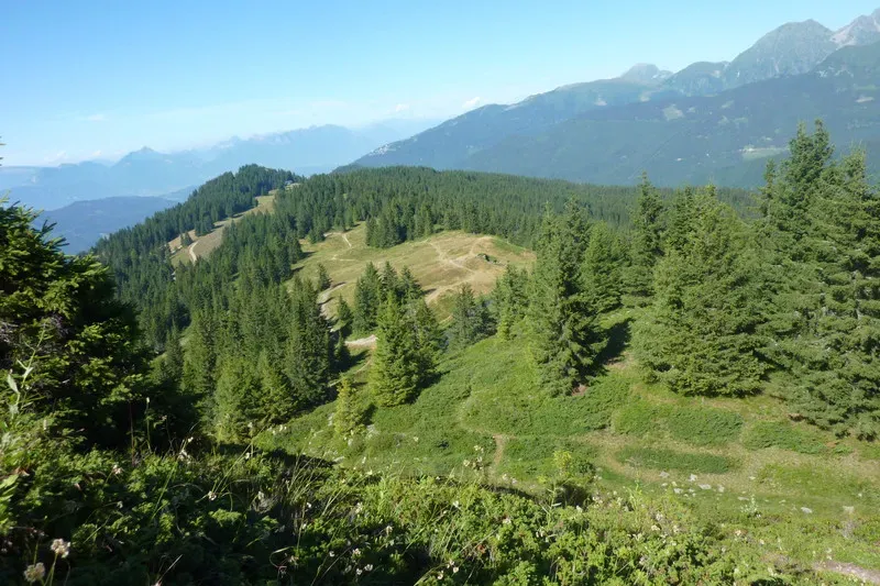 paysage-camping-clair-matin-4