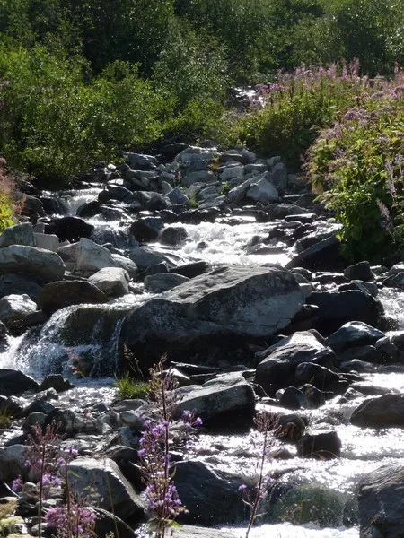 paysage-camping-clair-matin-7