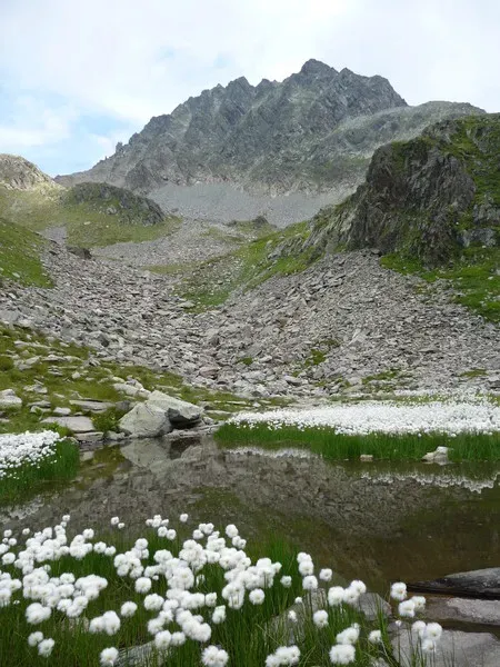 paysage-camping-clair-matin-8