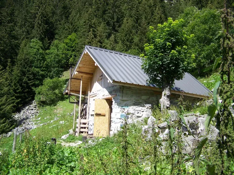 paysage-camping-clair-matin-13