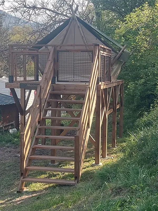 Tente perchée vue rapprochéwebp